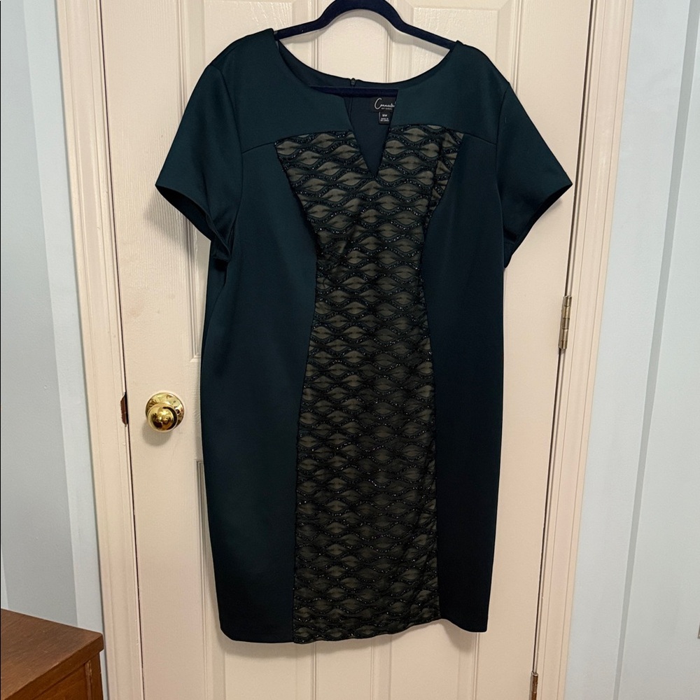 Connected Apparel Dark Green Mini Dress